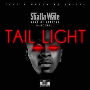 tail light