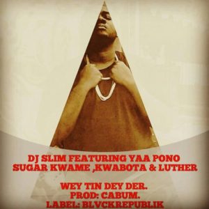 djslim