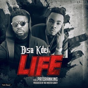 bisa-kdei-life